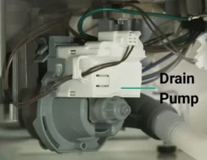 Dishwasher drain pump